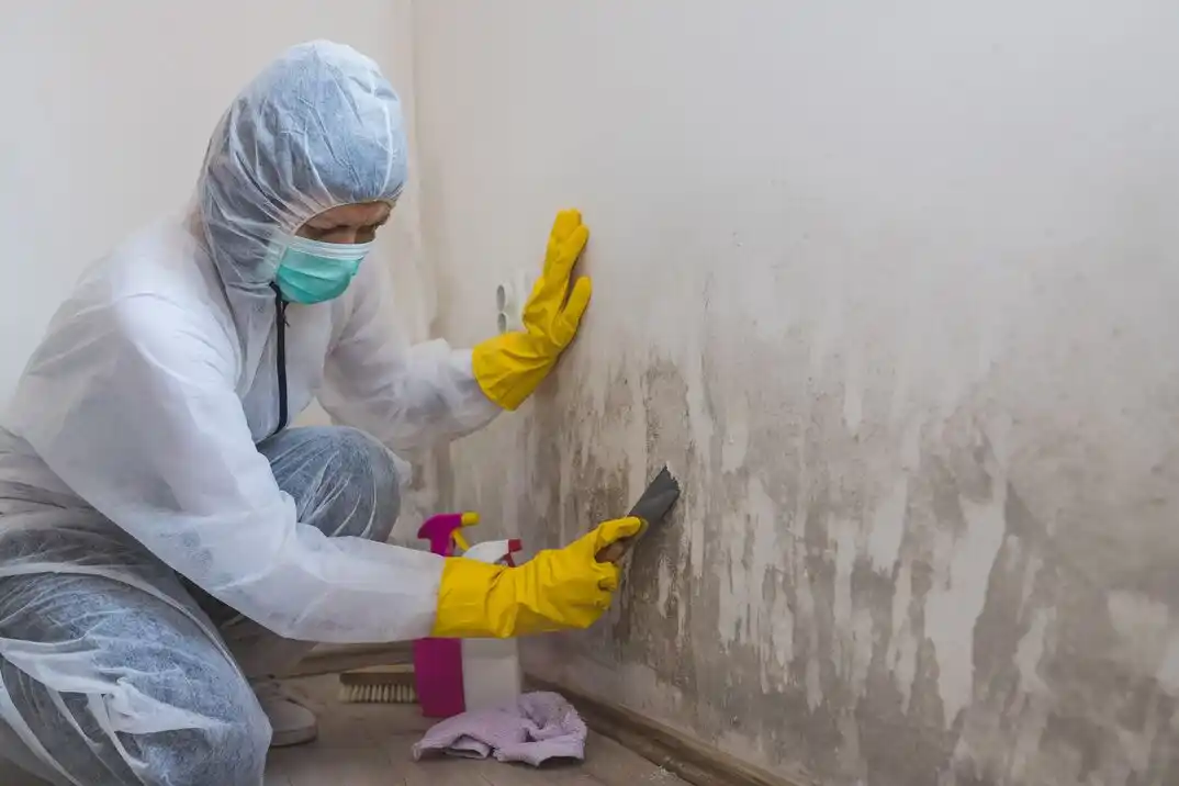 water damage restoration service Balboa Acres